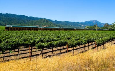 Apollo Destinations Reviews Wine Train Trips Outside California